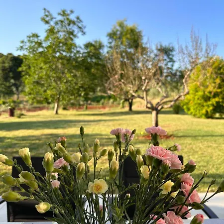 Pancur Apartament Poreč